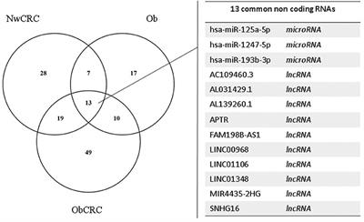 Integrated Transcriptome Analysis of Human Visceral Adipocytes Unravels Dysregulated microRNA-Long Non-coding RNA-mRNA Networks in Obesity and Colorectal Cancer